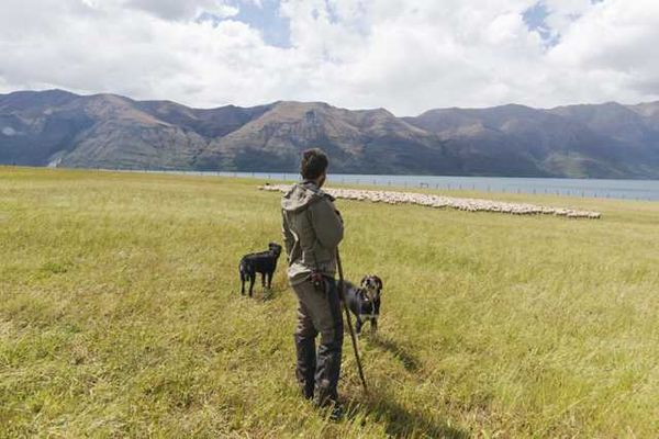 Pure, Beautiful New Zealand