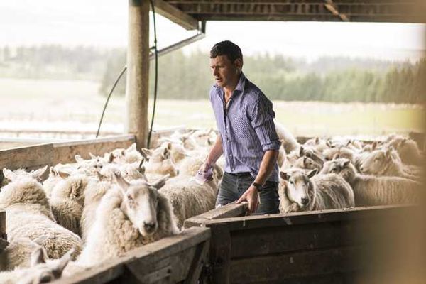 Pure, Beautiful New Zealand